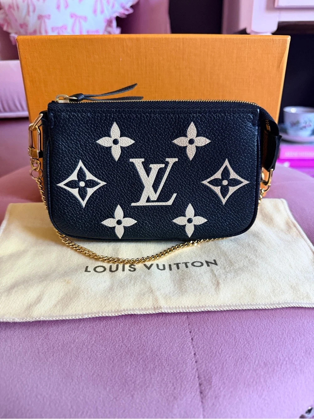 Louis Vuitton bicolor mini pochette accessories
